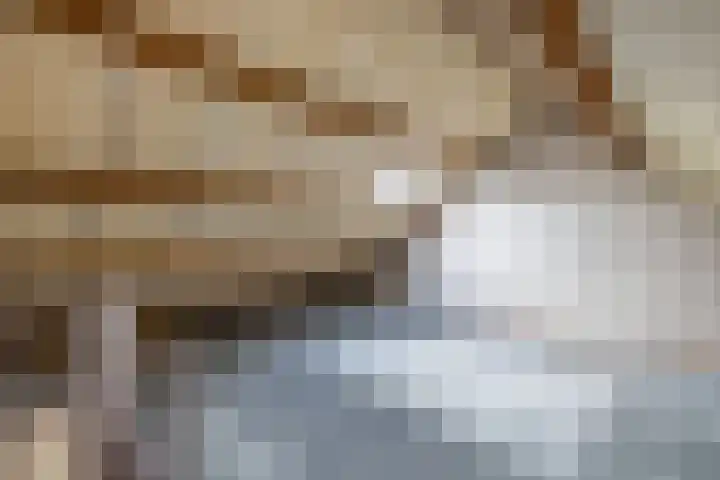 Oude Vlie 98 Emmeloord thumbnail 34