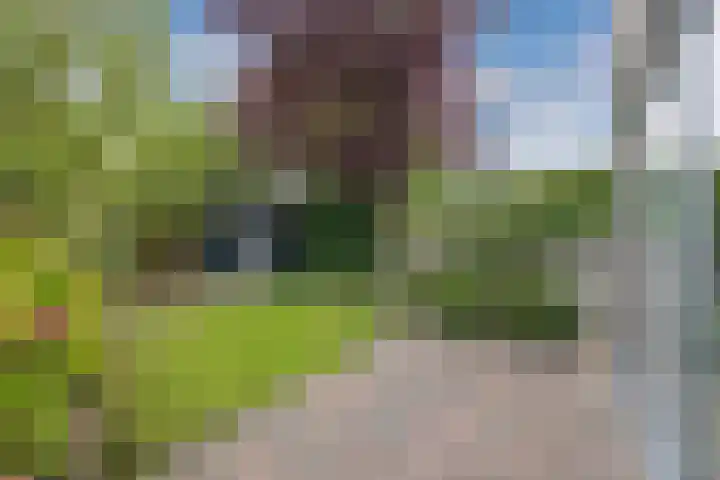 Oude Vlie 98 Emmeloord thumbnail 36