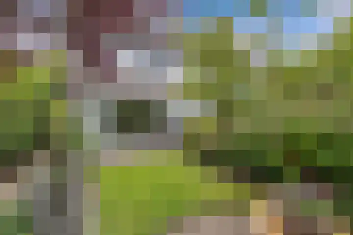 Oude Vlie 98 Emmeloord thumbnail 37
