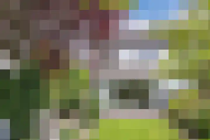 Oude Vlie 98 Emmeloord thumbnail 38