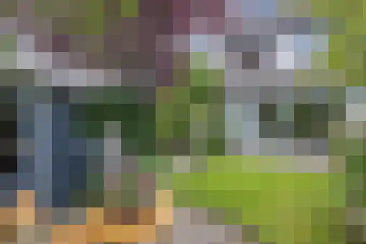 Oude Vlie 98 Emmeloord thumbnail 39