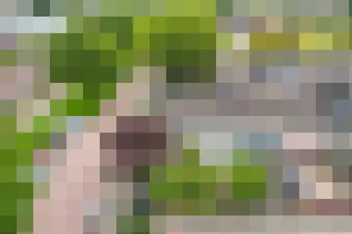 Oude Vlie 98 Emmeloord thumbnail 41
