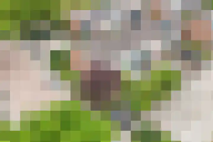 Oude Vlie 98 Emmeloord thumbnail 43