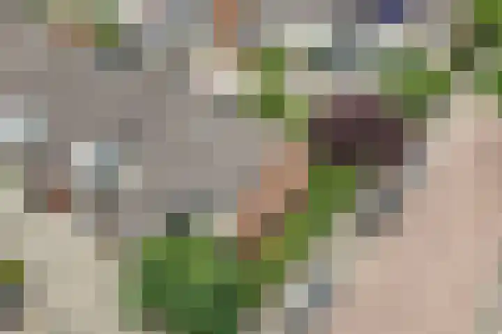 Oude Vlie 98 Emmeloord thumbnail 52