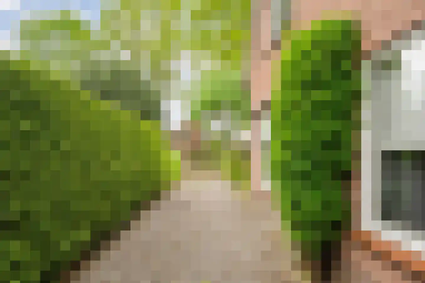 Oude Vlierweg 32 Ommen thumbnail 13