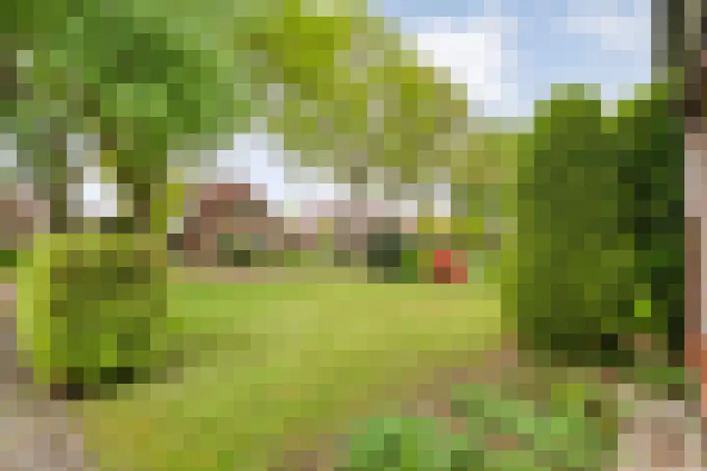 Oude Vlierweg 32 Ommen thumbnail 14