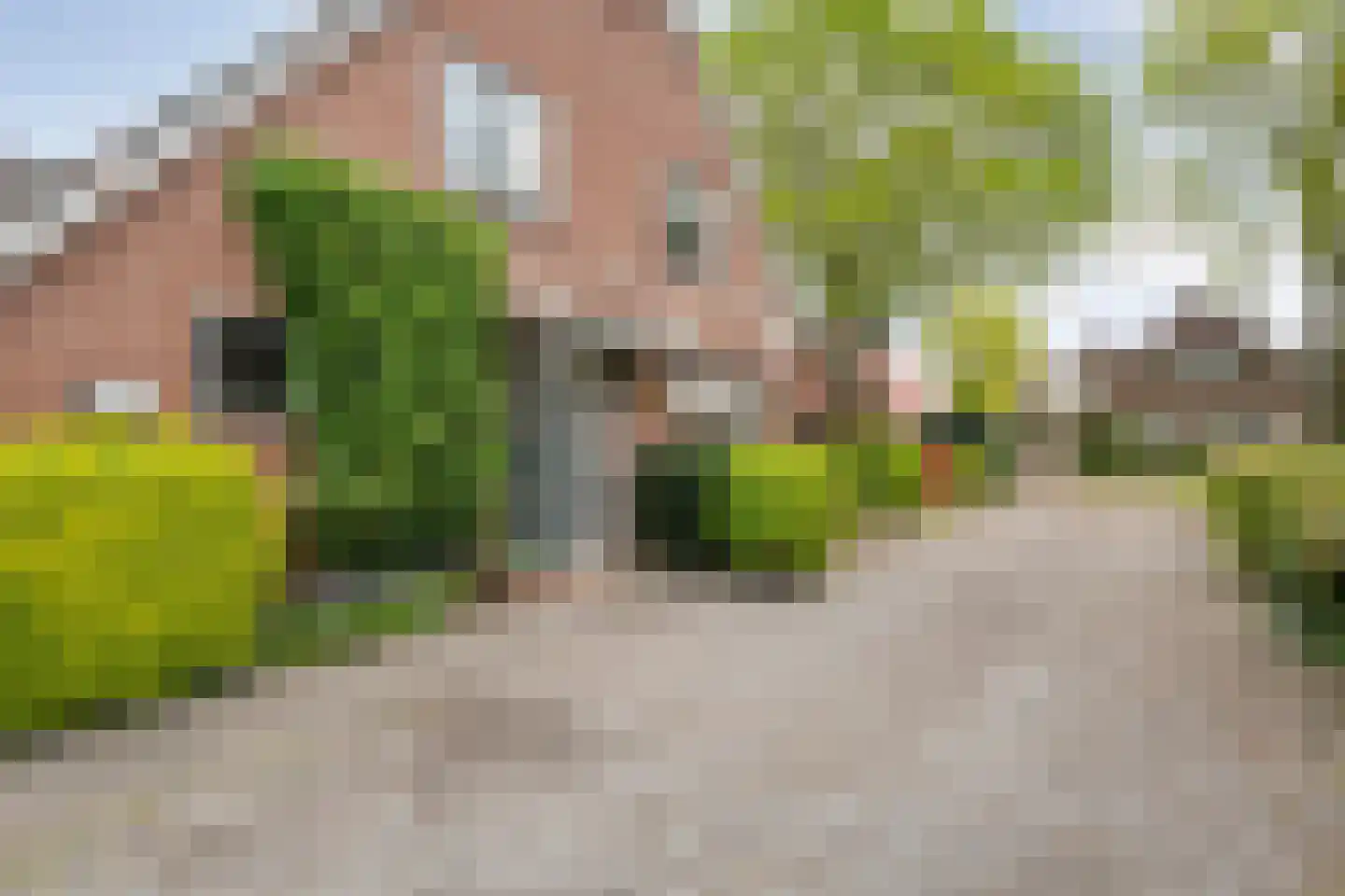 Oude Vlierweg 32 Ommen thumbnail 15