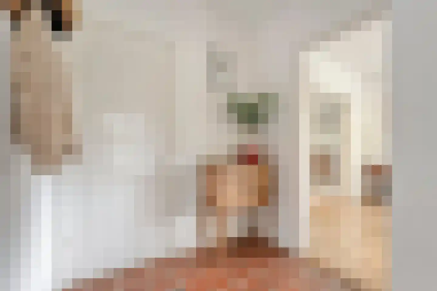 Oude Vlierweg 32 Ommen thumbnail 21