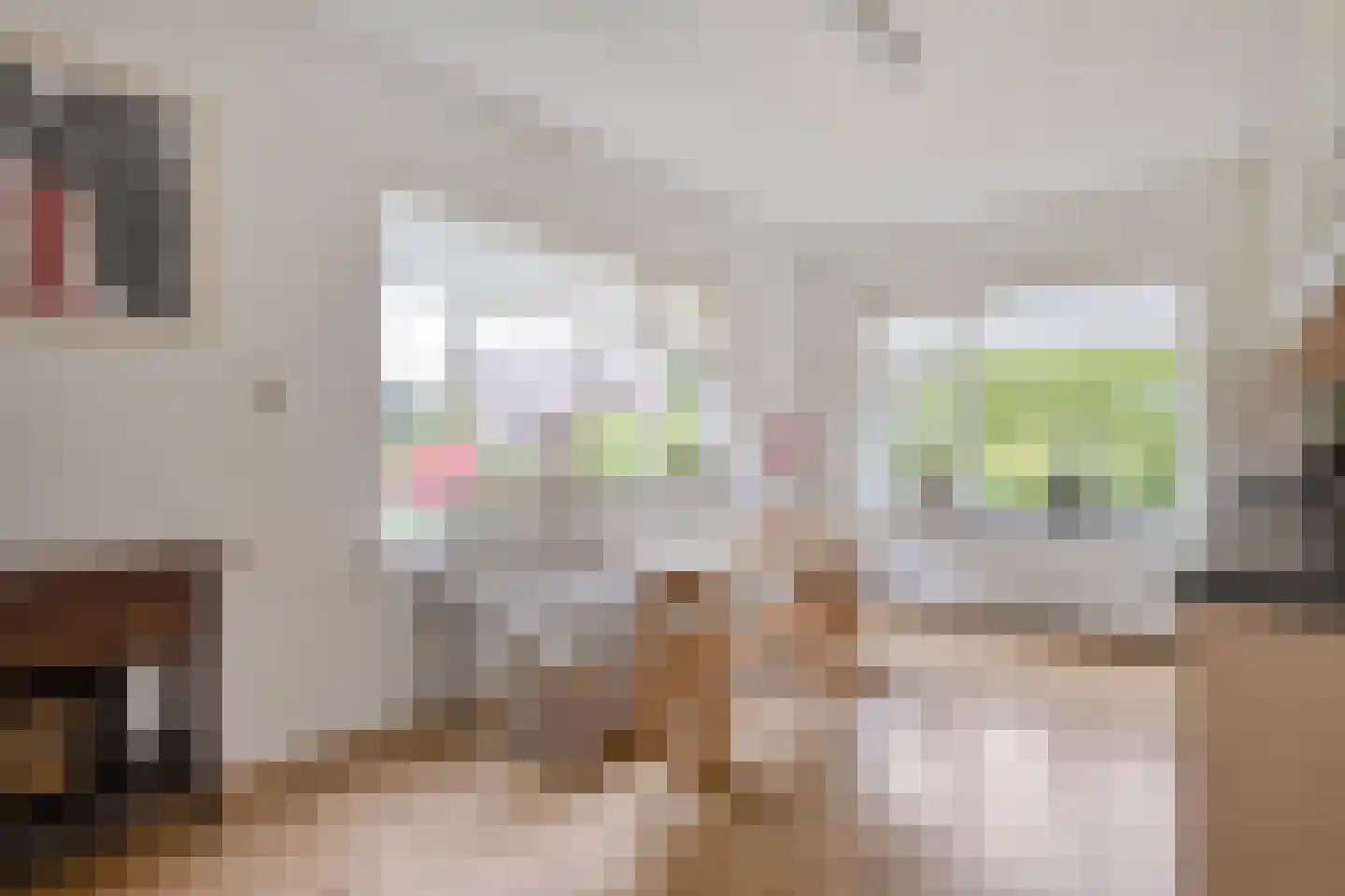 Oude Vlierweg 32 Ommen thumbnail 22