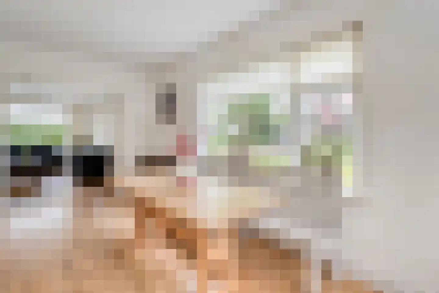 Oude Vlierweg 32 Ommen thumbnail 23