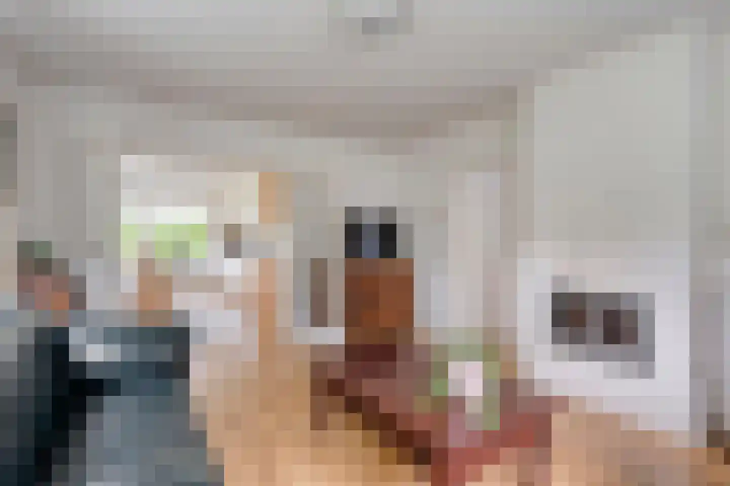 Oude Vlierweg 32 Ommen thumbnail 25
