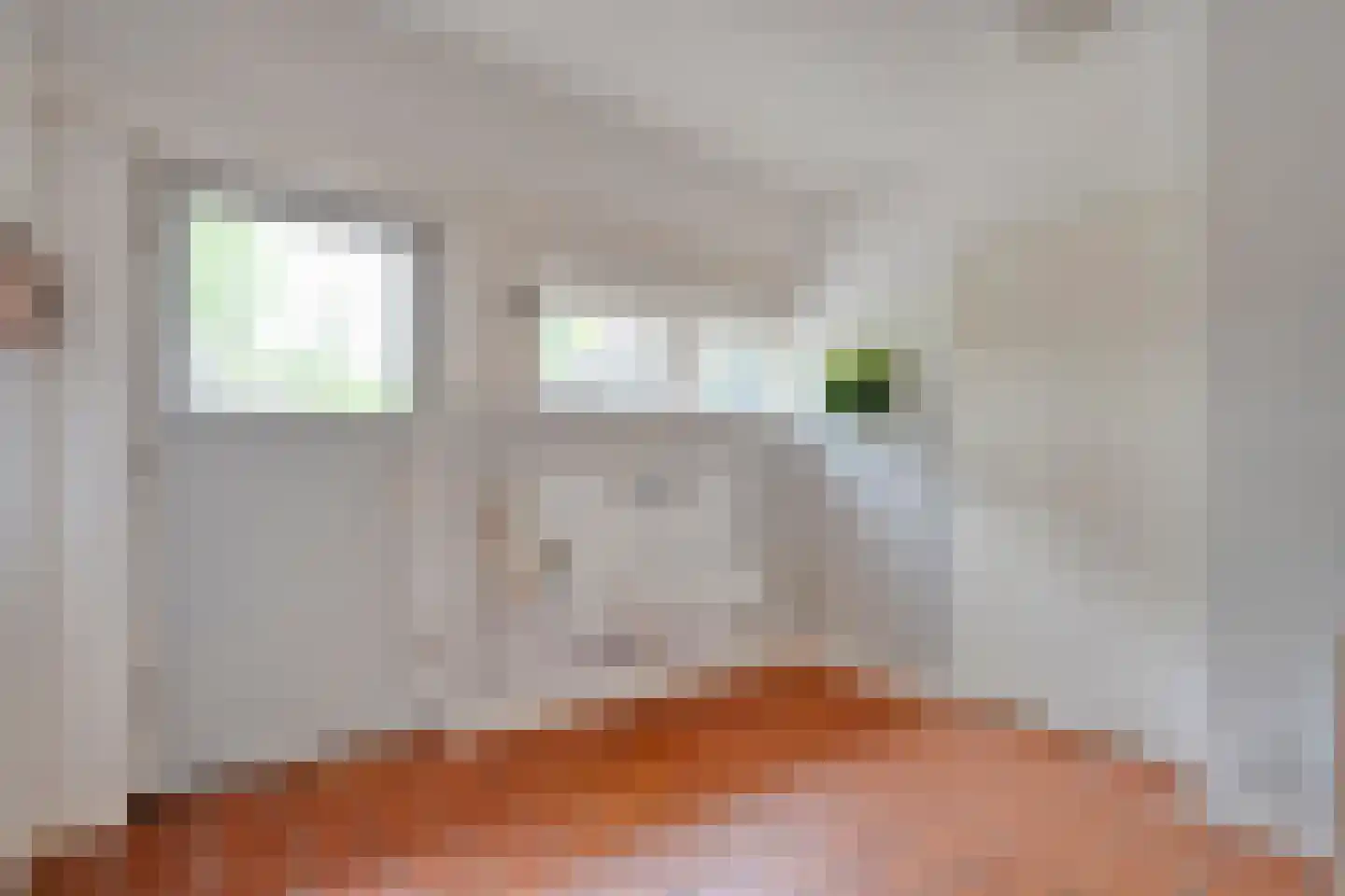 Oude Vlierweg 32 Ommen thumbnail 32