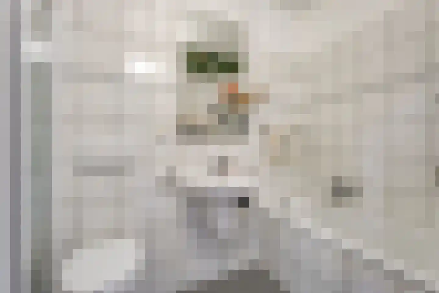 Oude Vlierweg 32 Ommen thumbnail 35