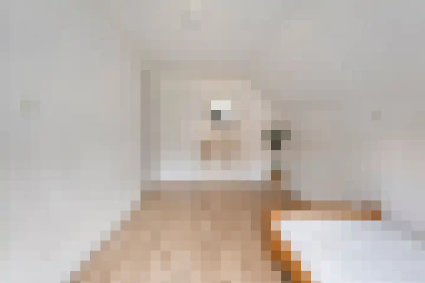 Oude Vlierweg 32 Ommen thumbnail 41