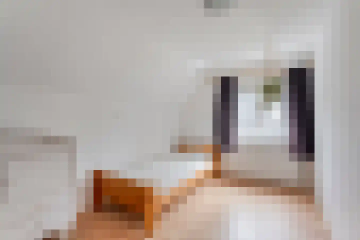 Oude Vlierweg 32 Ommen thumbnail 44