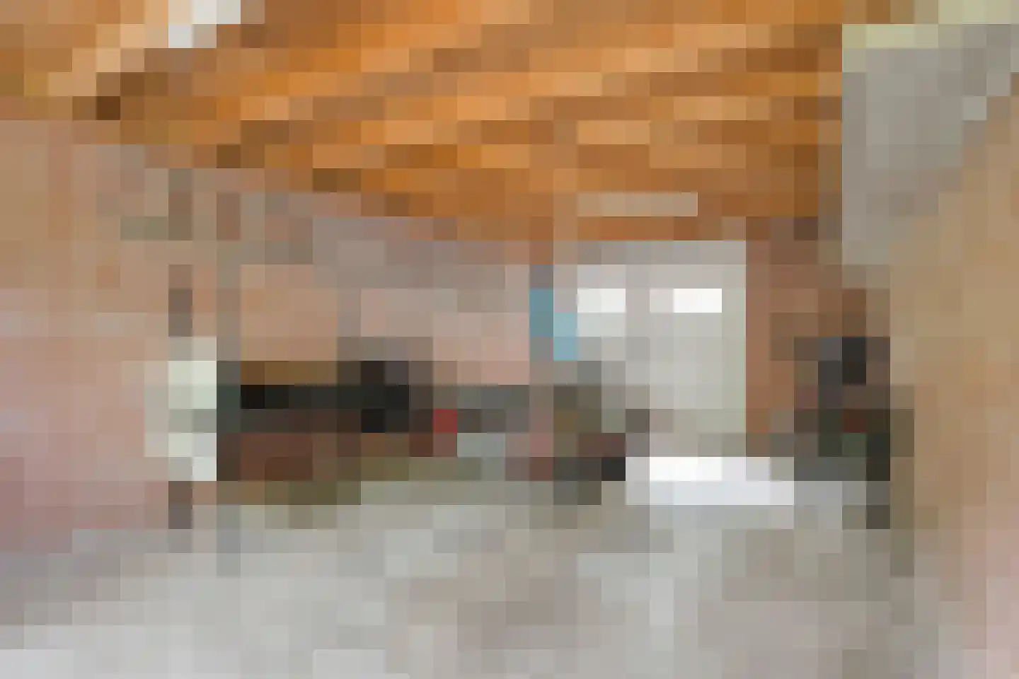 Oude Vlierweg 32 Ommen thumbnail 49