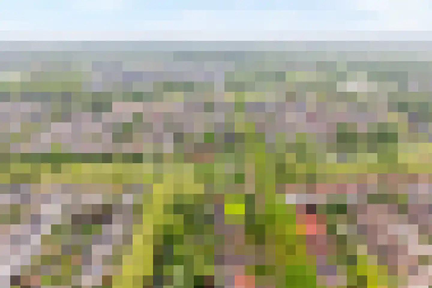 Oude Vlierweg 32 Ommen thumbnail 5