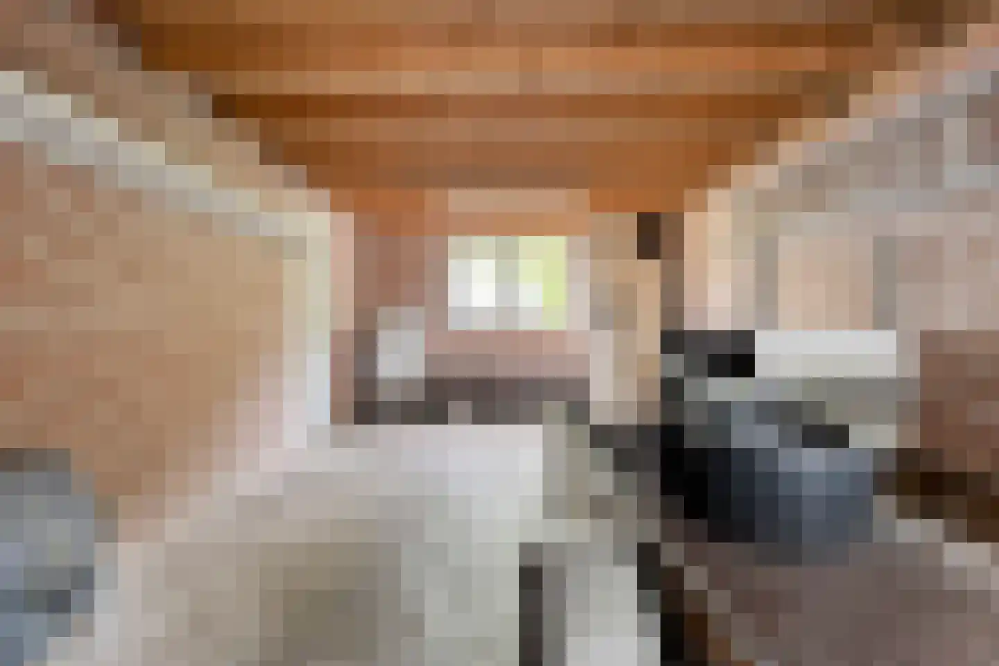 Oude Vlierweg 32 Ommen thumbnail 50