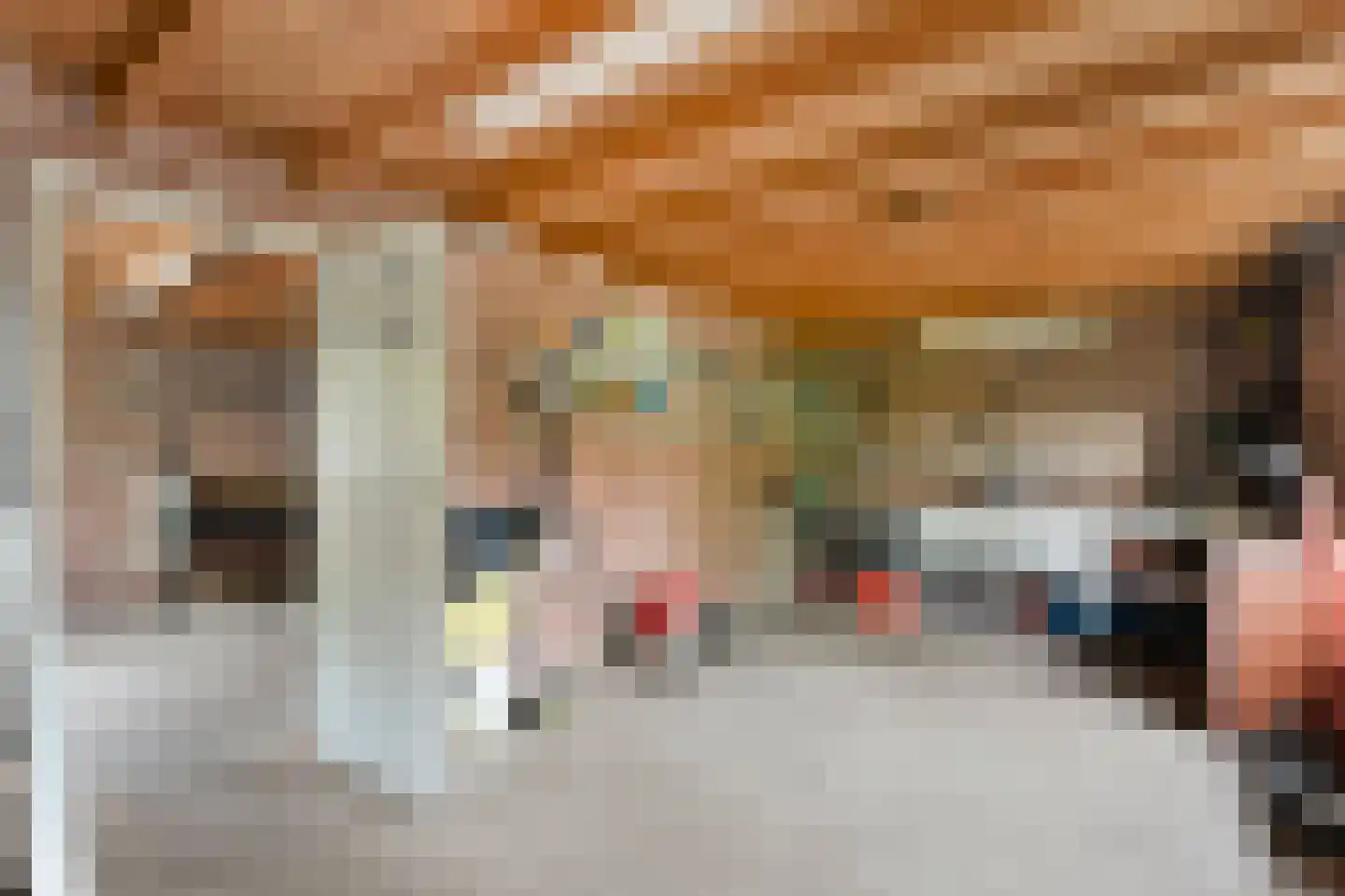 Oude Vlierweg 32 Ommen thumbnail 51