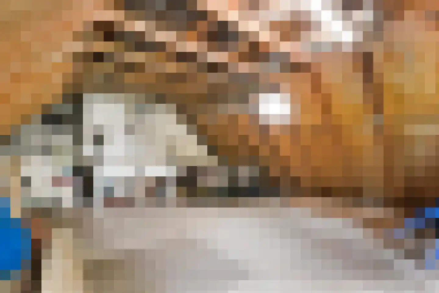 Oude Vlierweg 32 Ommen thumbnail 53