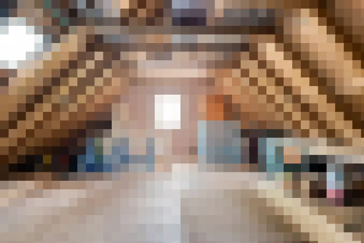 Oude Vlierweg 32 Ommen thumbnail 54