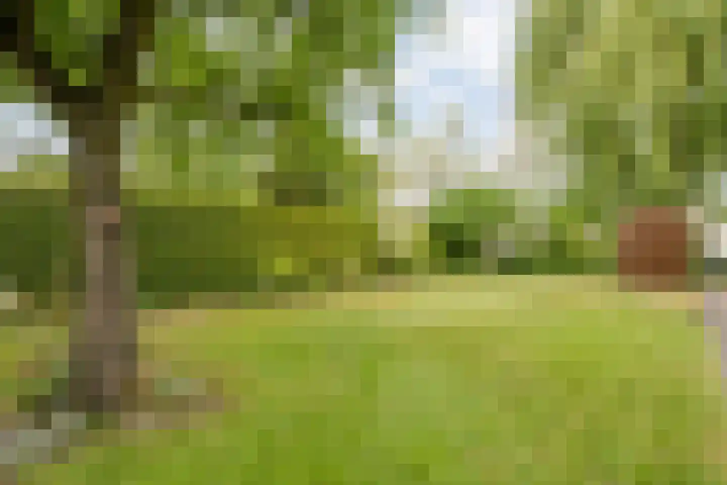 Oude Vlierweg 32 Ommen thumbnail 56