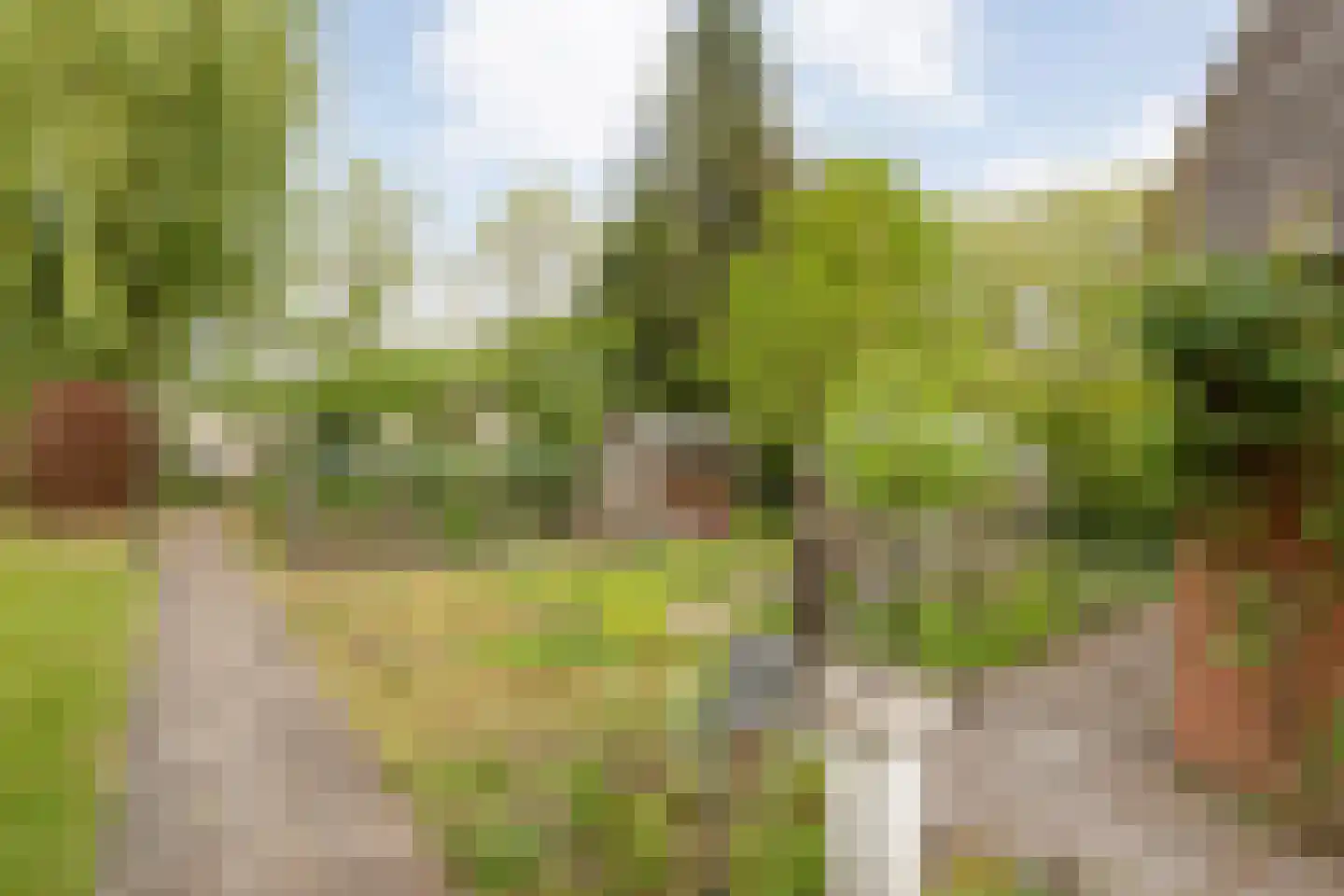 Oude Vlierweg 32 Ommen thumbnail 57