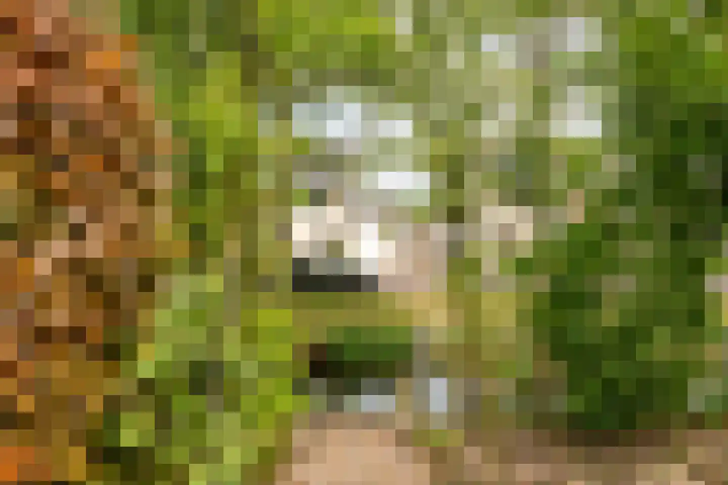 Oude Vlierweg 32 Ommen thumbnail 58