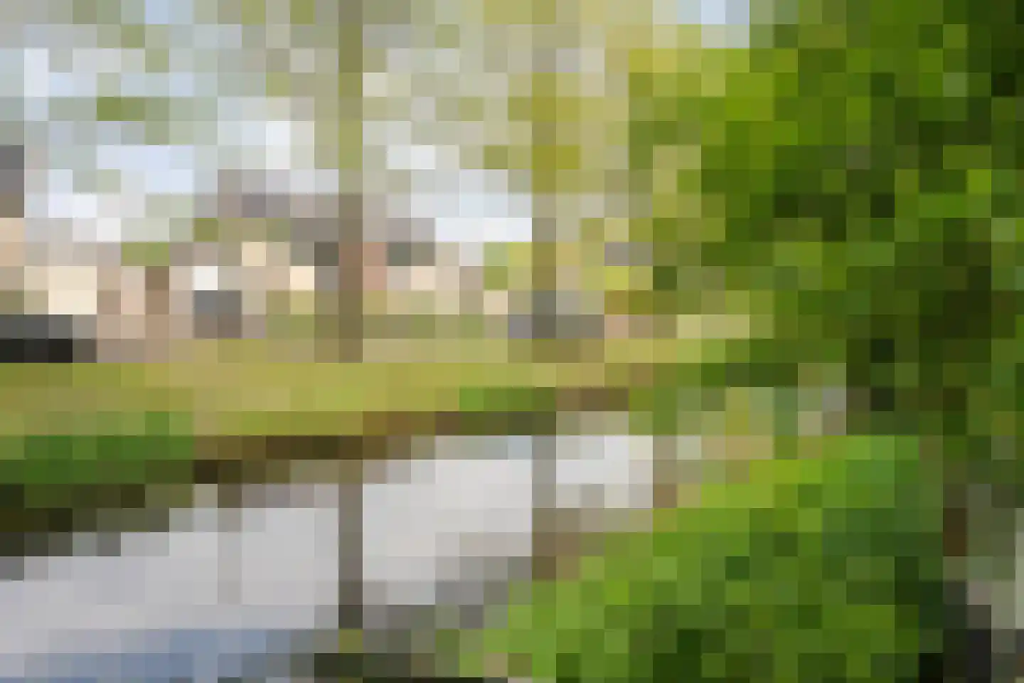 Oude Vlierweg 32 Ommen thumbnail 59
