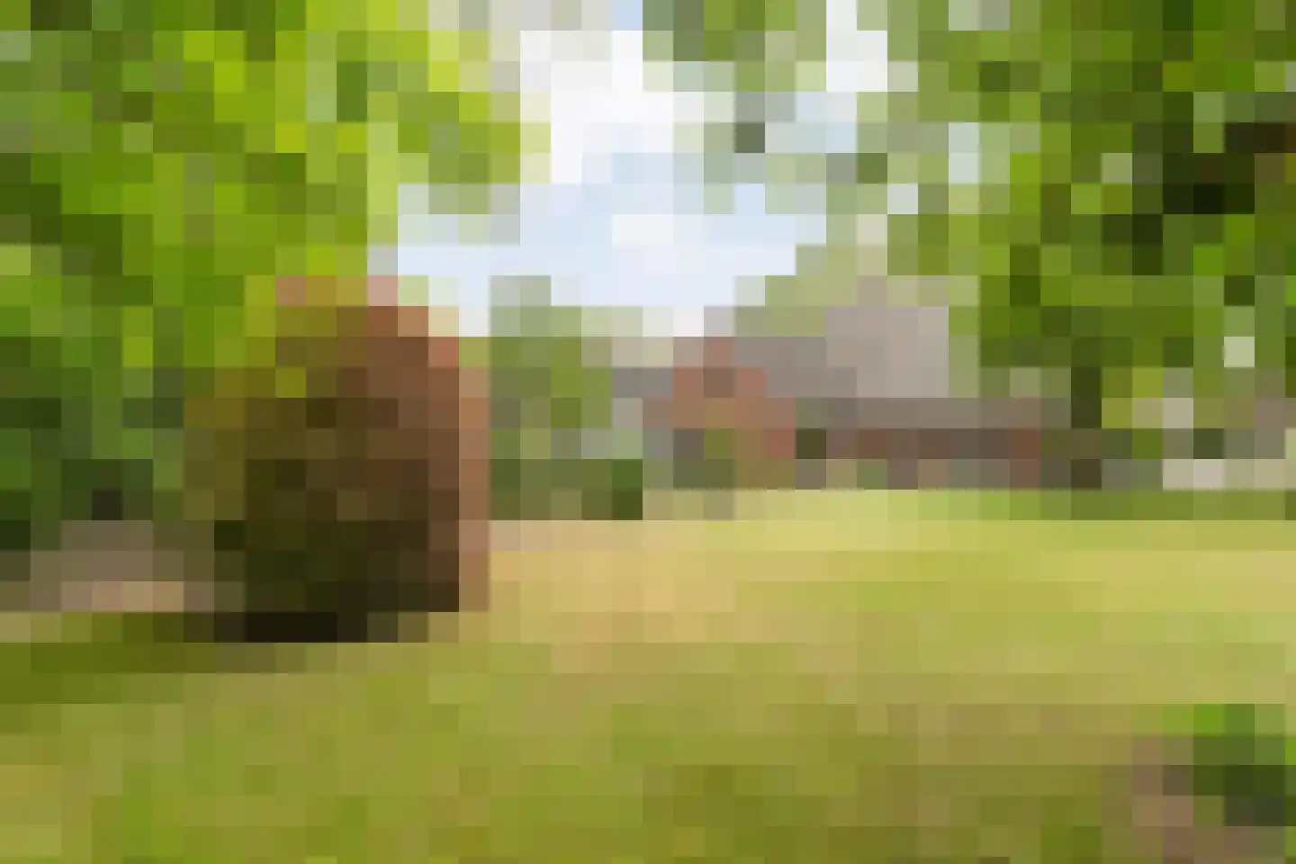 Oude Vlierweg 32 Ommen thumbnail 60
