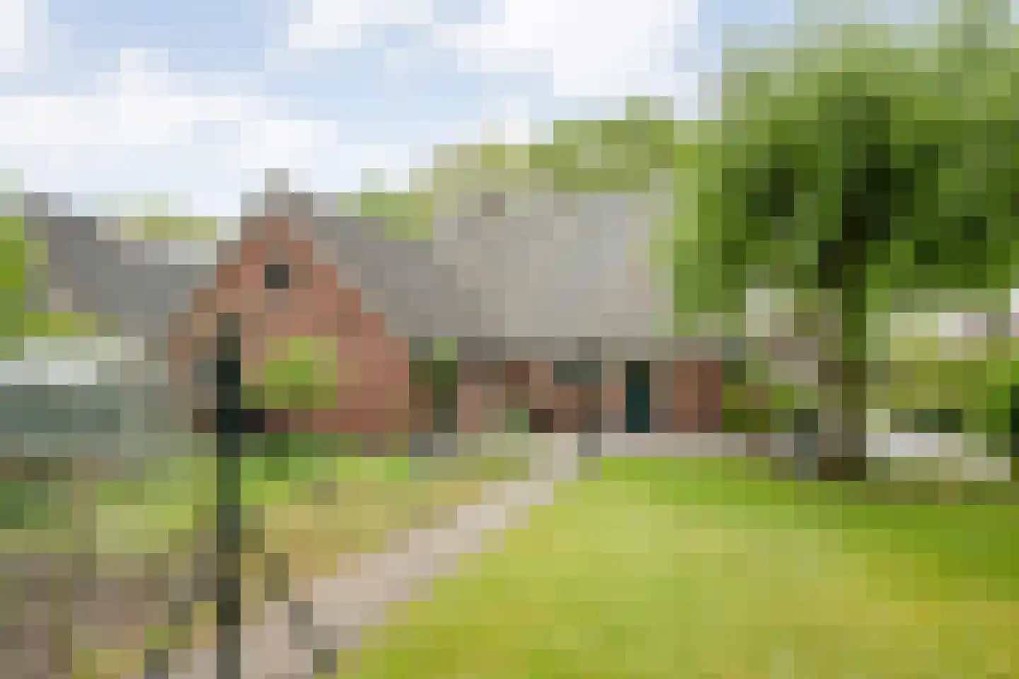 Oude Vlierweg 32 Ommen thumbnail 61