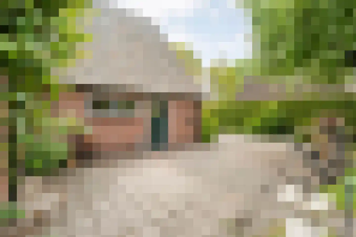 Oude Vlierweg 32 Ommen thumbnail 62