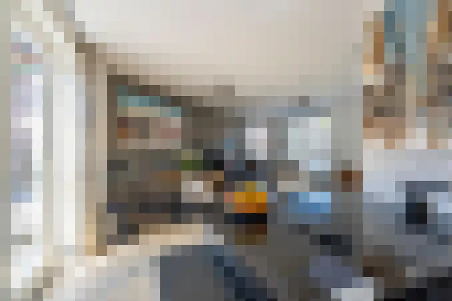 Oude Vlietweg 1 Rijnsburg thumbnail 10
