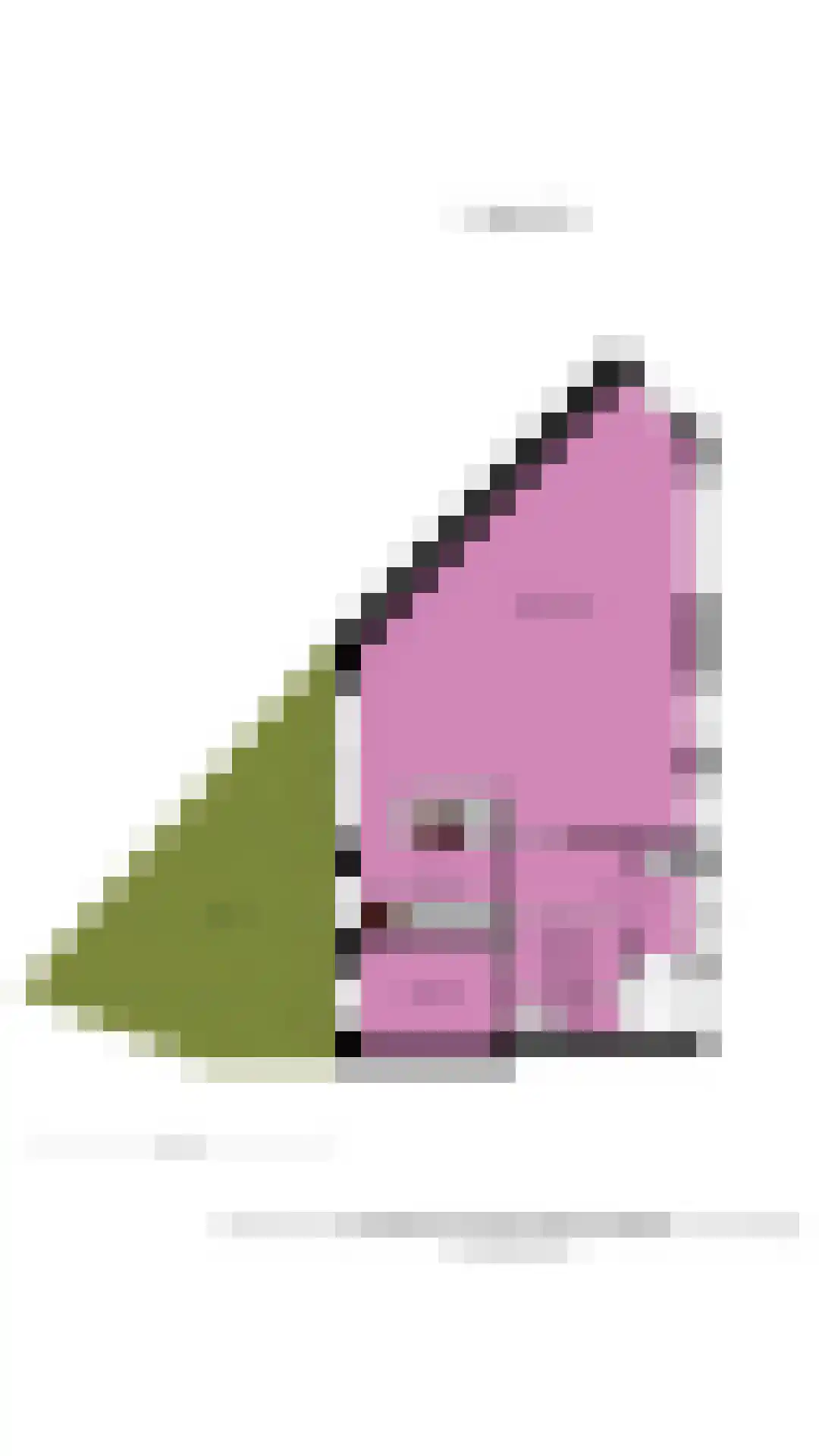 Oude Vlietweg 1 Rijnsburg thumbnail 47