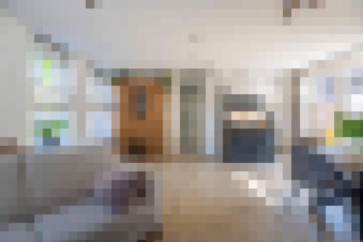 Oude Vlietweg 1 Rijnsburg thumbnail 5