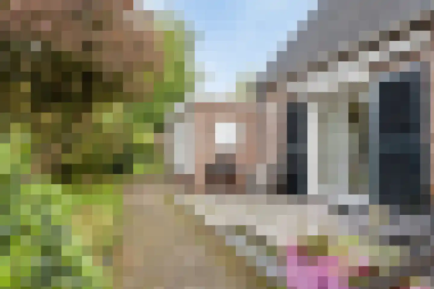 Oude Vlijmenseweg 178 's-Hertogenbosch thumbnail 16