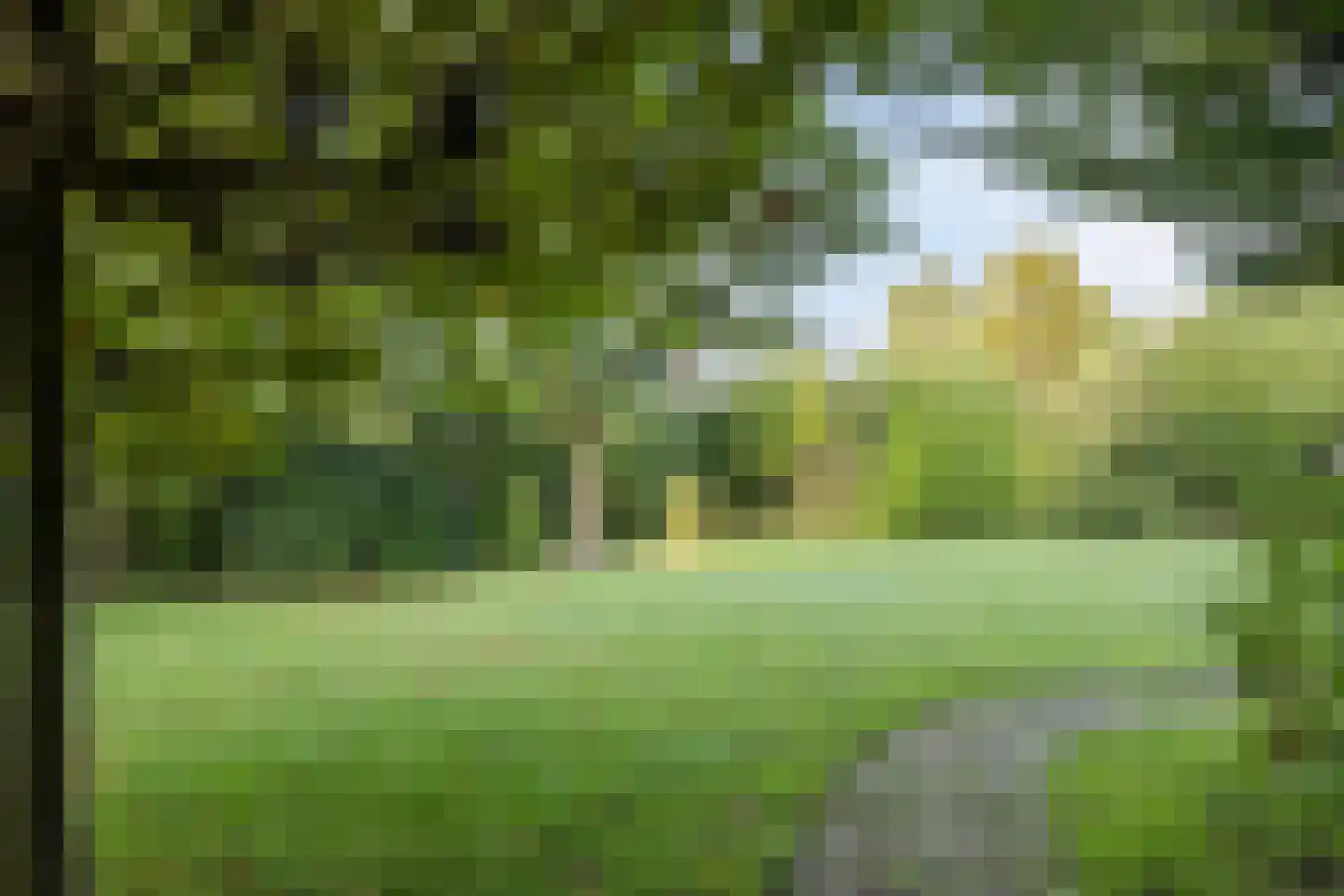 Oude Vlijmenseweg 178 's-Hertogenbosch thumbnail 22