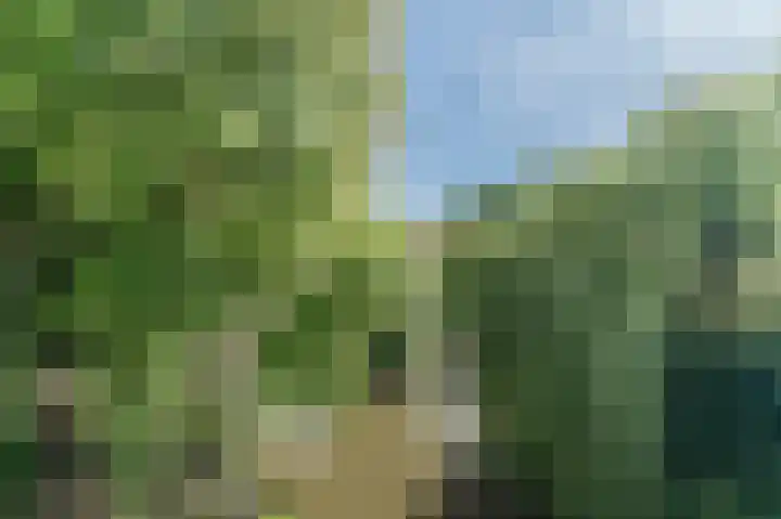 Oude Vlijmenseweg 245 's-Hertogenbosch thumbnail 8