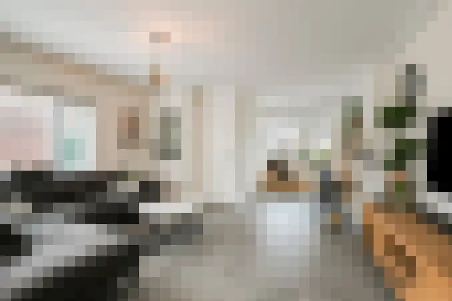 Oude Vlijmenseweg 25 's-Hertogenbosch thumbnail 4
