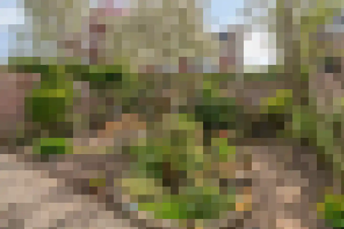 Oude Vlijmenseweg 25 's-Hertogenbosch thumbnail 51