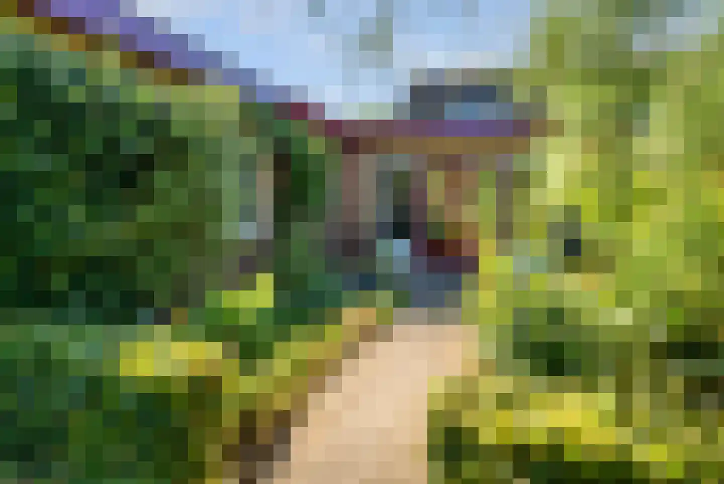Oude Vlijmenseweg 26 's-Hertogenbosch thumbnail 31