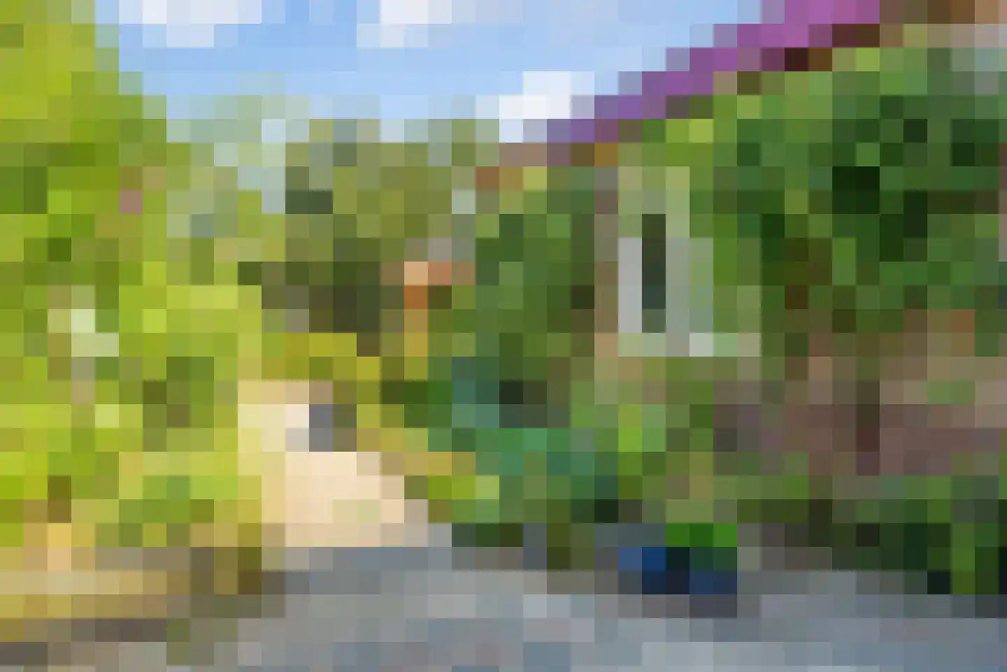 Oude Vlijmenseweg 26 's-Hertogenbosch thumbnail 32