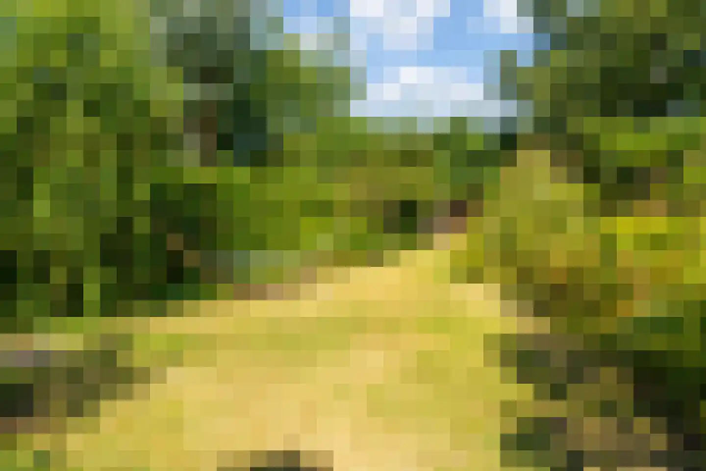 Oude Vlijmenseweg 26 's-Hertogenbosch thumbnail 36
