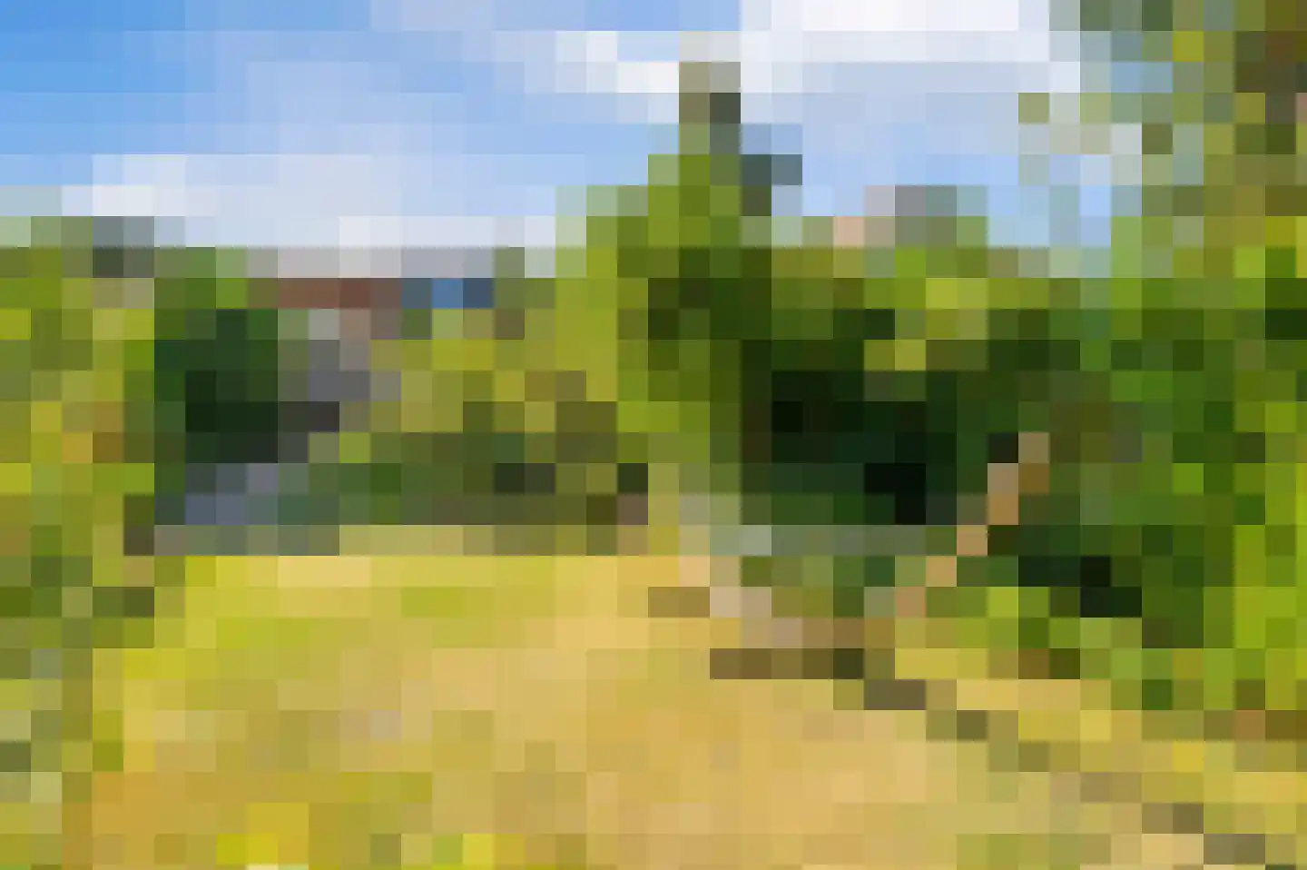 Oude Vlijmenseweg 26 's-Hertogenbosch thumbnail 37
