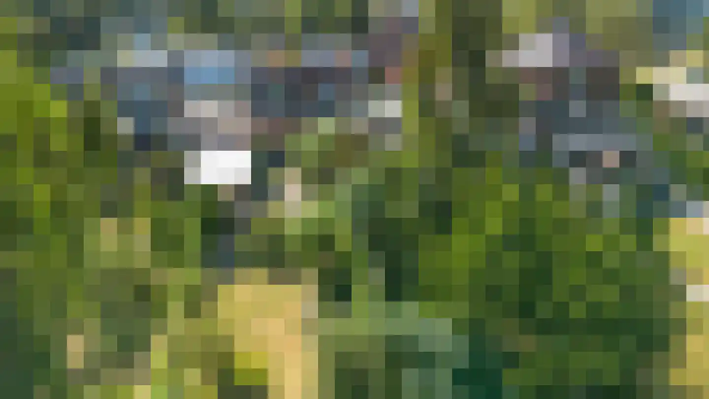 Oude Vlijmenseweg 26 's-Hertogenbosch thumbnail 41