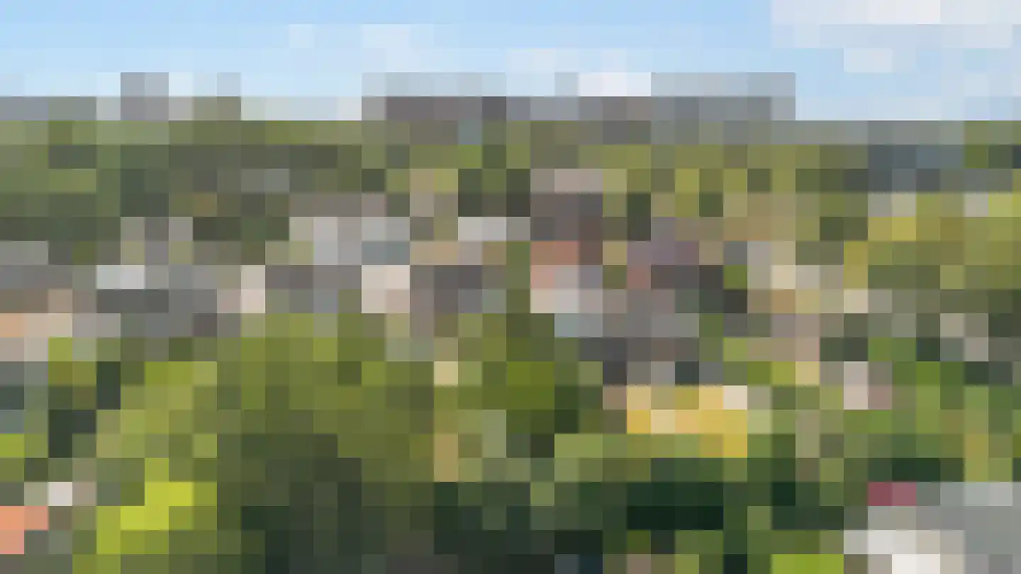 Oude Vlijmenseweg 26 's-Hertogenbosch thumbnail 42
