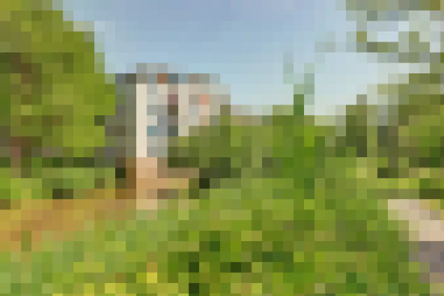 Oude Vlijmenseweg 261 's-Hertogenbosch thumbnail 32
