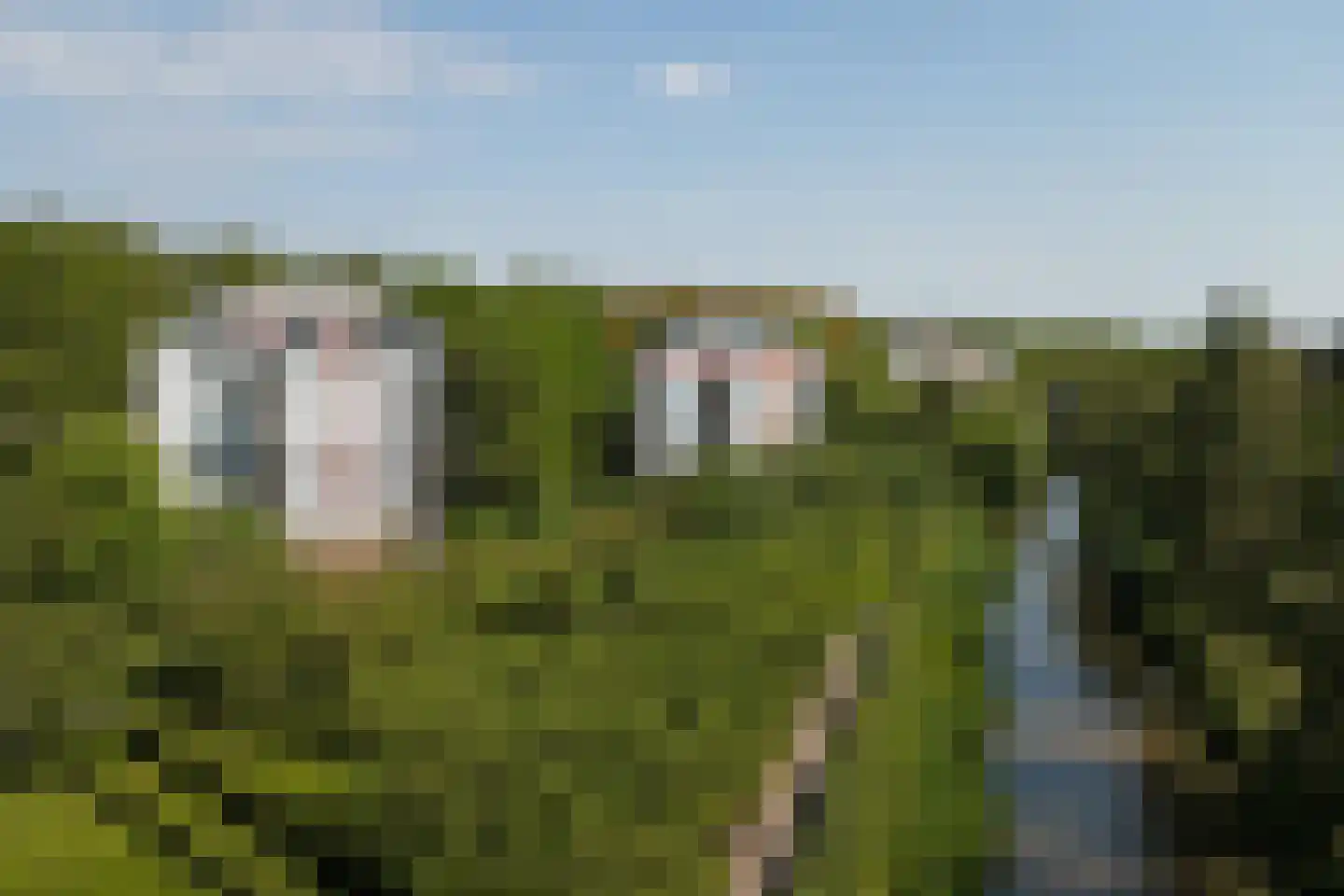 Oude Vlijmenseweg 261 's-Hertogenbosch thumbnail 34