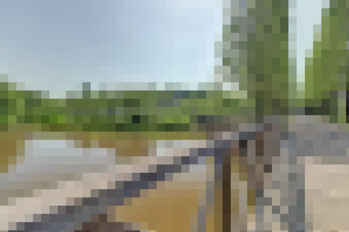 Oude Vlijmenseweg 261 's-Hertogenbosch thumbnail 38