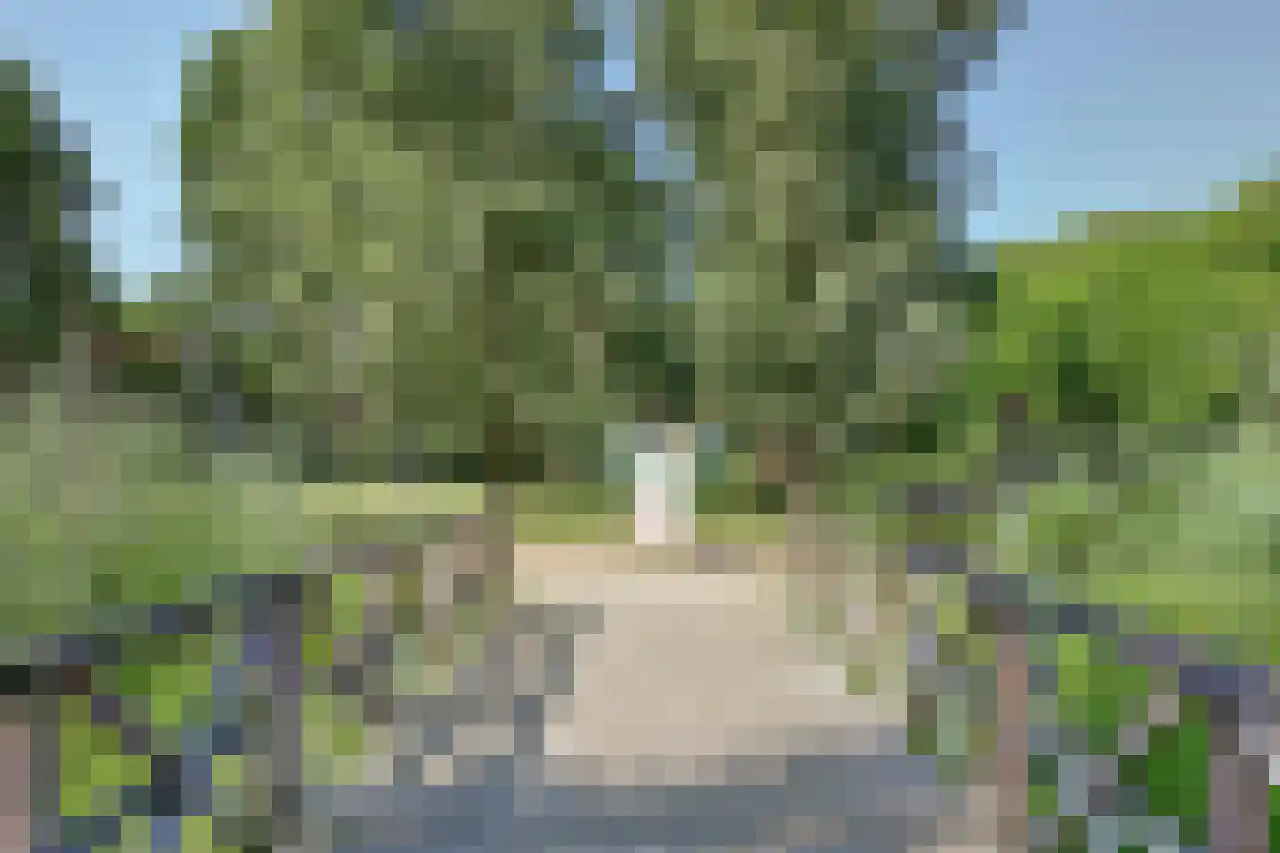 Oude Vlijmenseweg 261 's-Hertogenbosch thumbnail 39